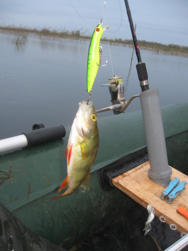 Tsuribito Dead Minnow