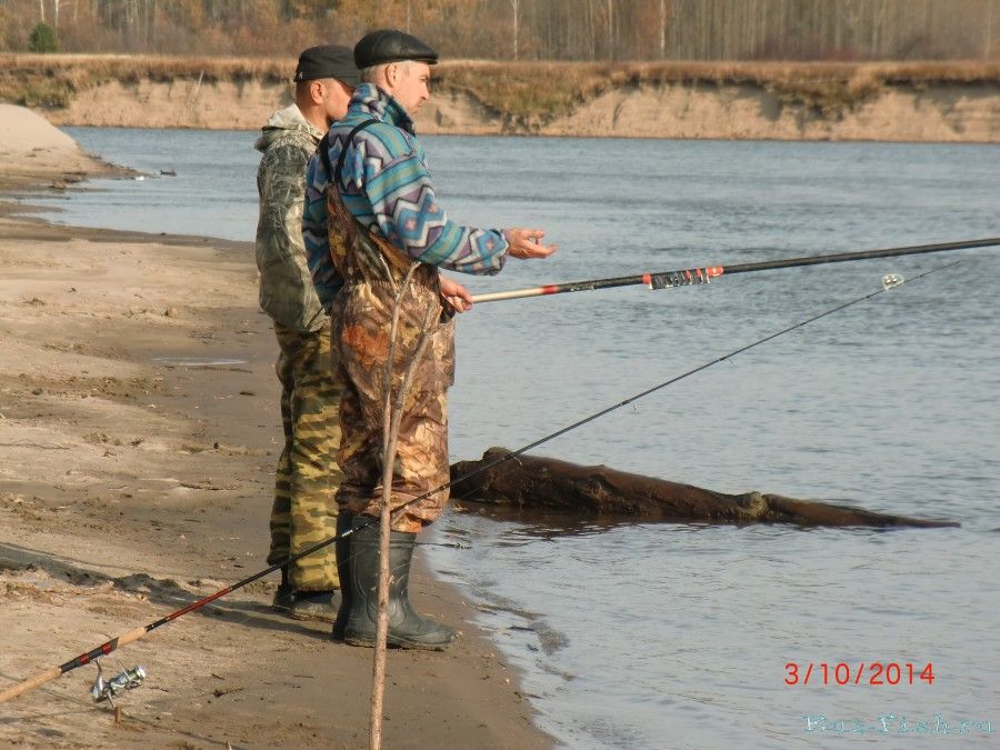 Последний выезд на Чулым 2014840