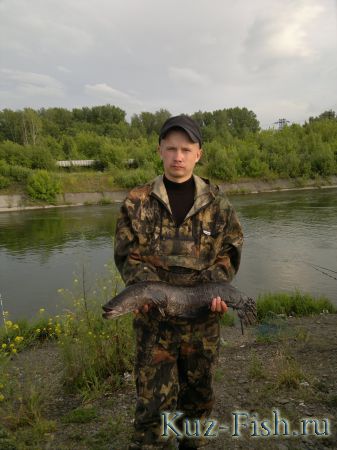 змейголов 3кг