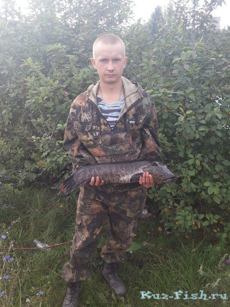 ЗМЕЙГОЛОВ