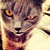Дмитрий Котов