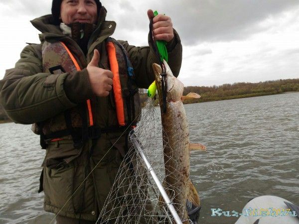 Первая на троллинг.