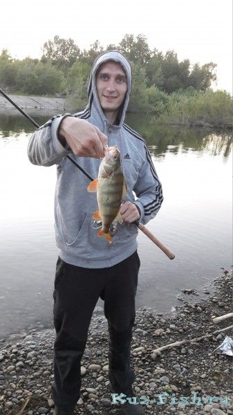 Отводной