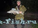 m_44688dff.jpg
