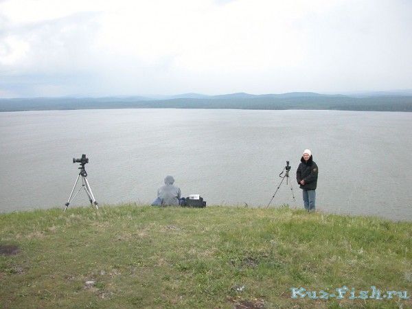 Берчикуль