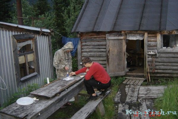 Нарды