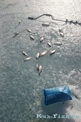 березовское вдхр