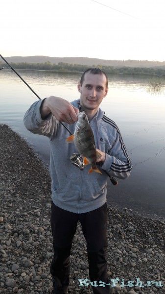 Либо кто то много ел, либо не отметал икру. Отпустил дометывать)
