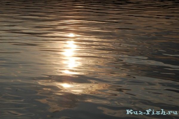DSC_0056.JPG