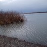 Осеннее половодье